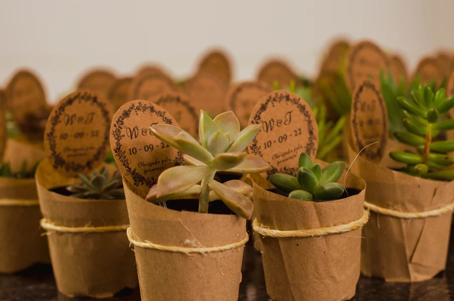 Lembranças que Florescem — Eventos, fotografia de Kaio Mendes
